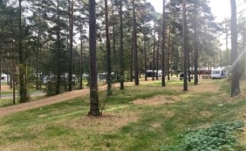 Väst (300-området)