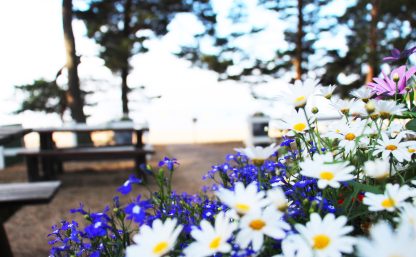 bomstadbadenpresentation26 (1)