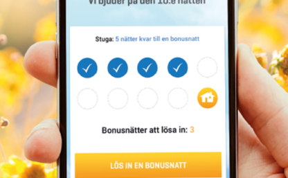 skaermavbild-2017-06-19-kl-131506