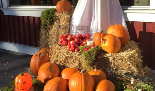 ghost camp 856x631 c center