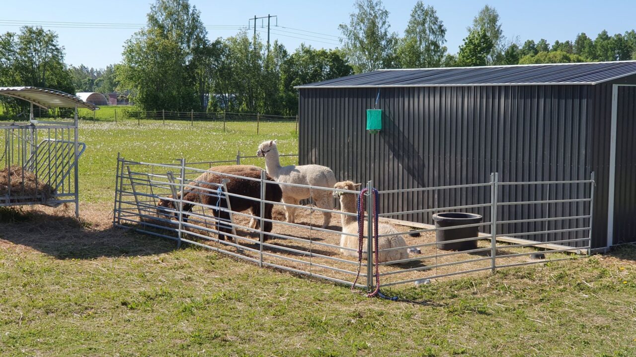 ac720ca92336c4ae2610af40b81499c5