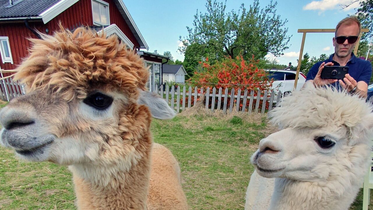 b3424d32a6e564104d8fd2c439d13d7c