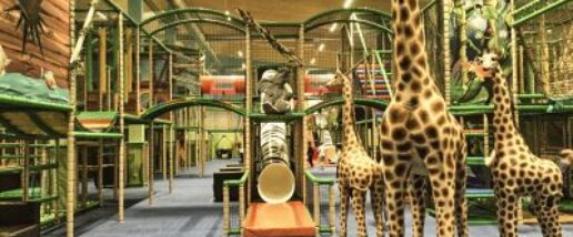 50721fe9c36a24d472e56f1724b0a8b2