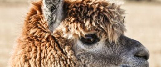 59d00b5485ffaca48376e3dac3e29651