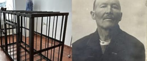 c8fc0782aeed2e0249c5670423cb7d0e